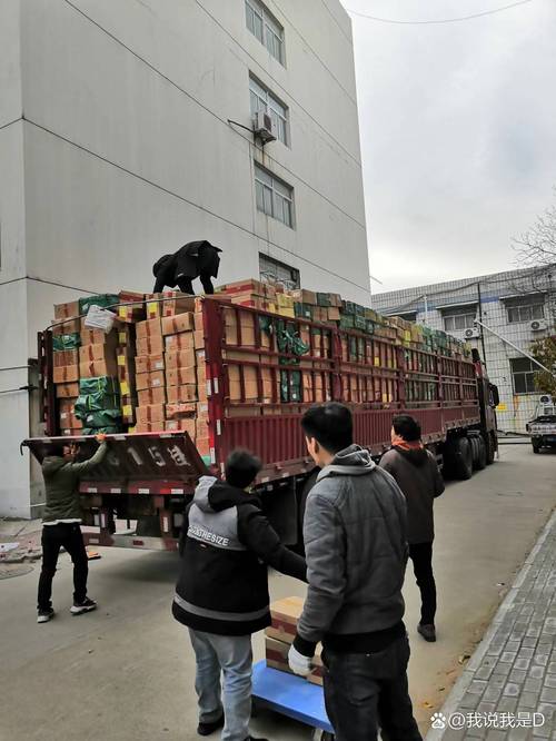鄭州經開區大件搬運與人力卸貨裝車全指南 專業服務如何選擇？